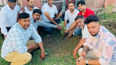 शहर कांग्रेस कमेटी अल्पसंख्यक विभाग अध्यक्ष बशीर उल हक (रॉकी) ने किया वृक्षारोपण