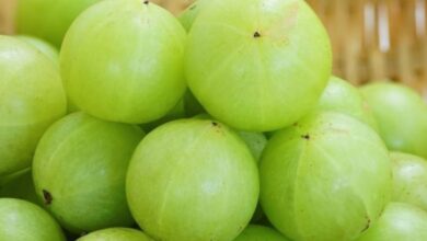 आंवला सेहत से भरपूर