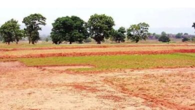 नाम राज परिवार का, खेल माफियाओं का : फर्जी बैनामा का खेल उजागर