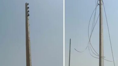 33 हजार वोल्ट की लाइन गायब, करोड़ों का खेल उजागर