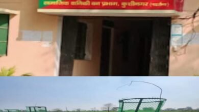 डीएफओ साहब! पहले पुराने पौधे खोजिए, फिर नया रिकॉर्ड बनाइए, कहा गए 1.20 करोड पौधे?