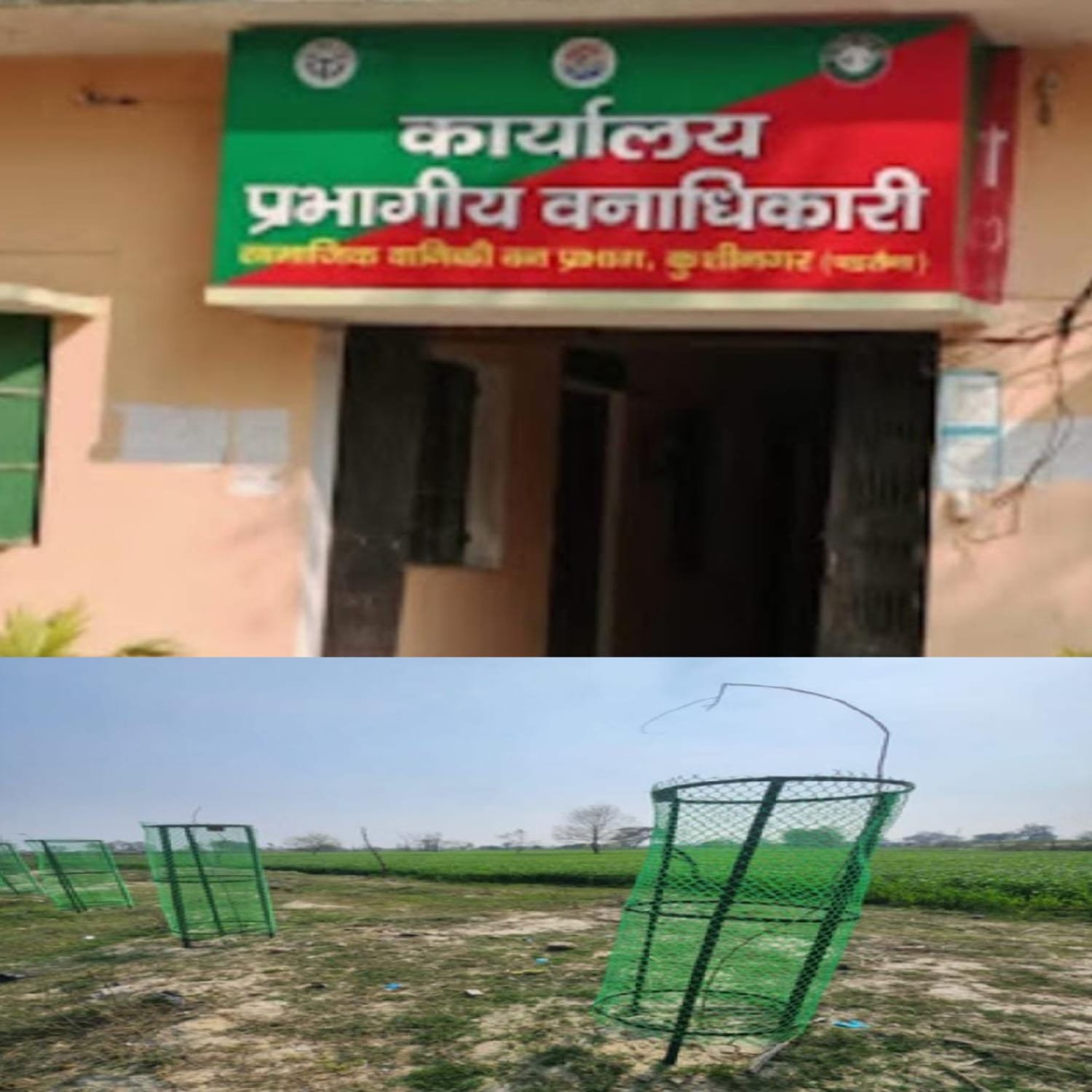 डीएफओ साहब! पहले पुराने पौधे खोजिए, फिर नया रिकॉर्ड बनाइए, कहा गए 1.20 करोड पौधे?
