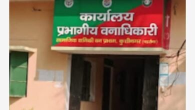 डीएफओ साहब! कहा गये 1 करोड 20 लाख पौधे?