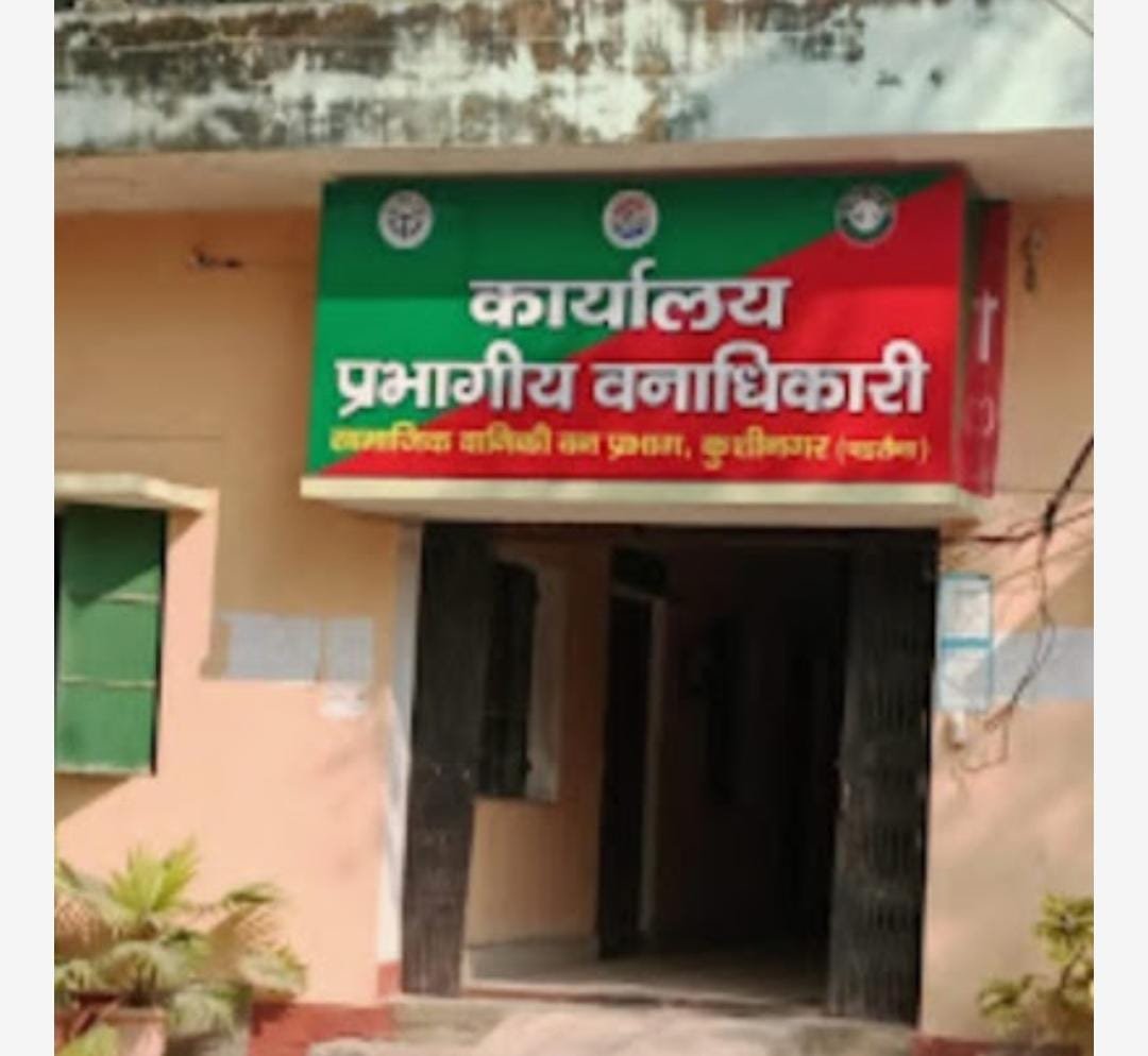 डीएफओ साहब! कहा गये 1 करोड 20 लाख पौधे?